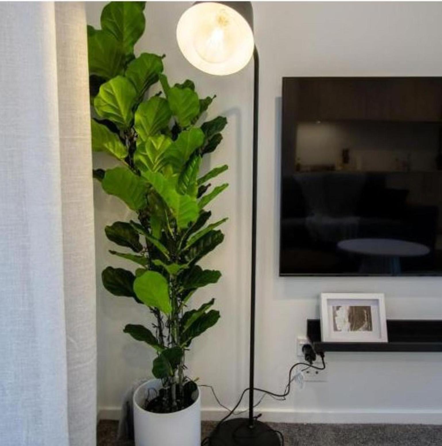 Apartament A Touch Of Luxury In Chch Cbd Christchurch Zewnętrze zdjęcie